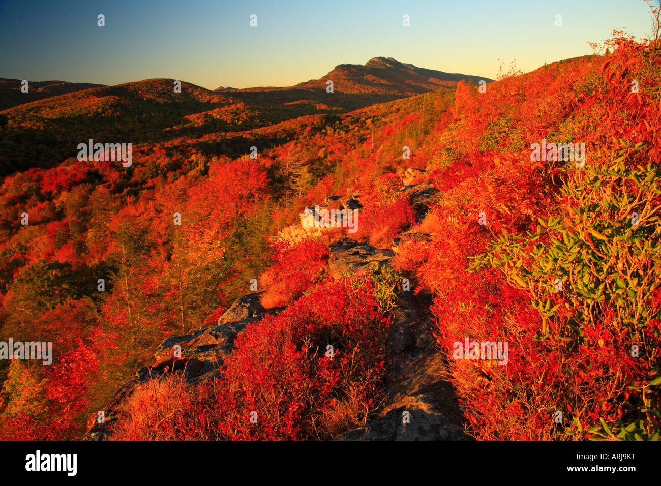 Sunset View of Grandfather Mountain from Flat Top, Blue Ridge Parkway, North Carolina, USA Stock Photo
