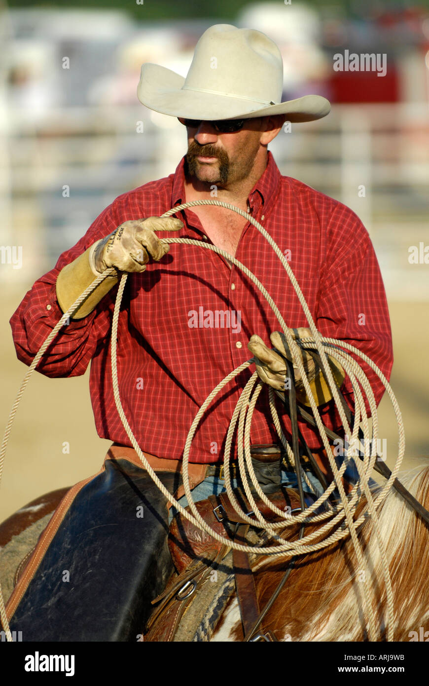 Cowboy participating in a rodeo event readies his rope for roping event Stock Photo
