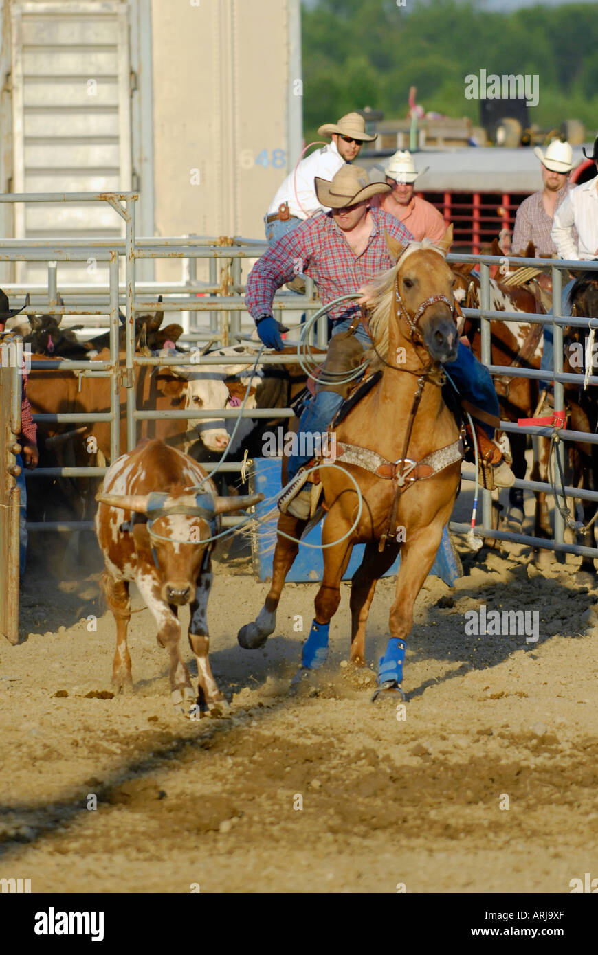 Real Rodeo Action horses hi-res stock photography and images - Alamy