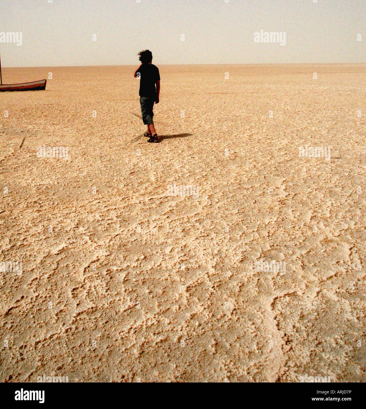 Salt Flats, Chott El Djerid, Tunisia Stock Photo Alamy