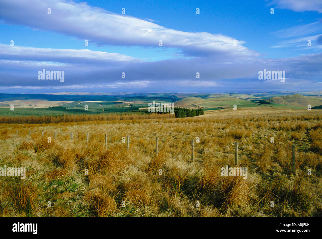 In scottish borders hires stock photography and images Alamy