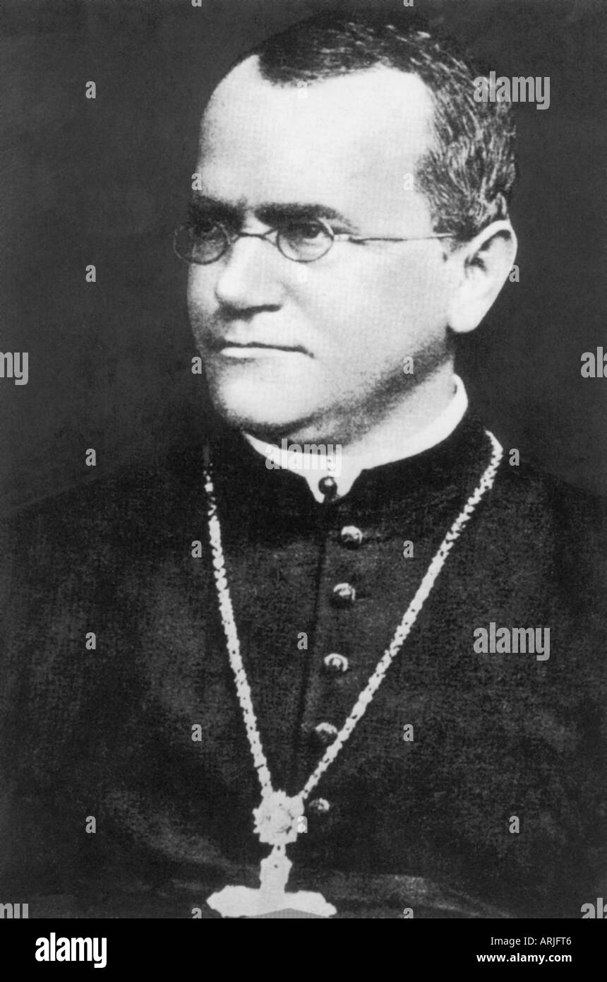 GREGOR MENDEL Austrian monk and botanist 1822 to 1884 whose work founded the science of genetics Stock Photo