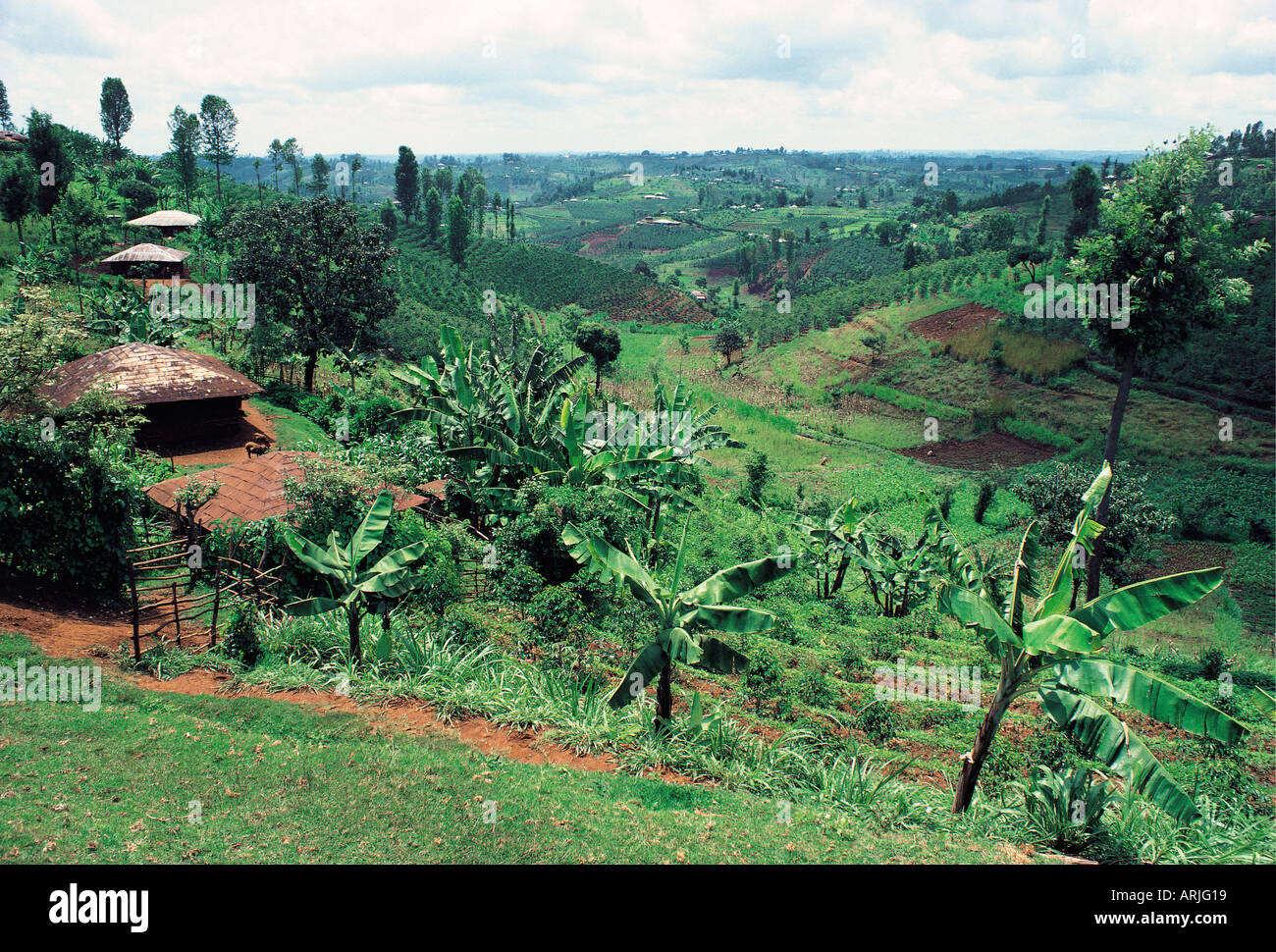 Typical Kikuyu smallholdings near Nyeri Kenya East Africa Stock Photo