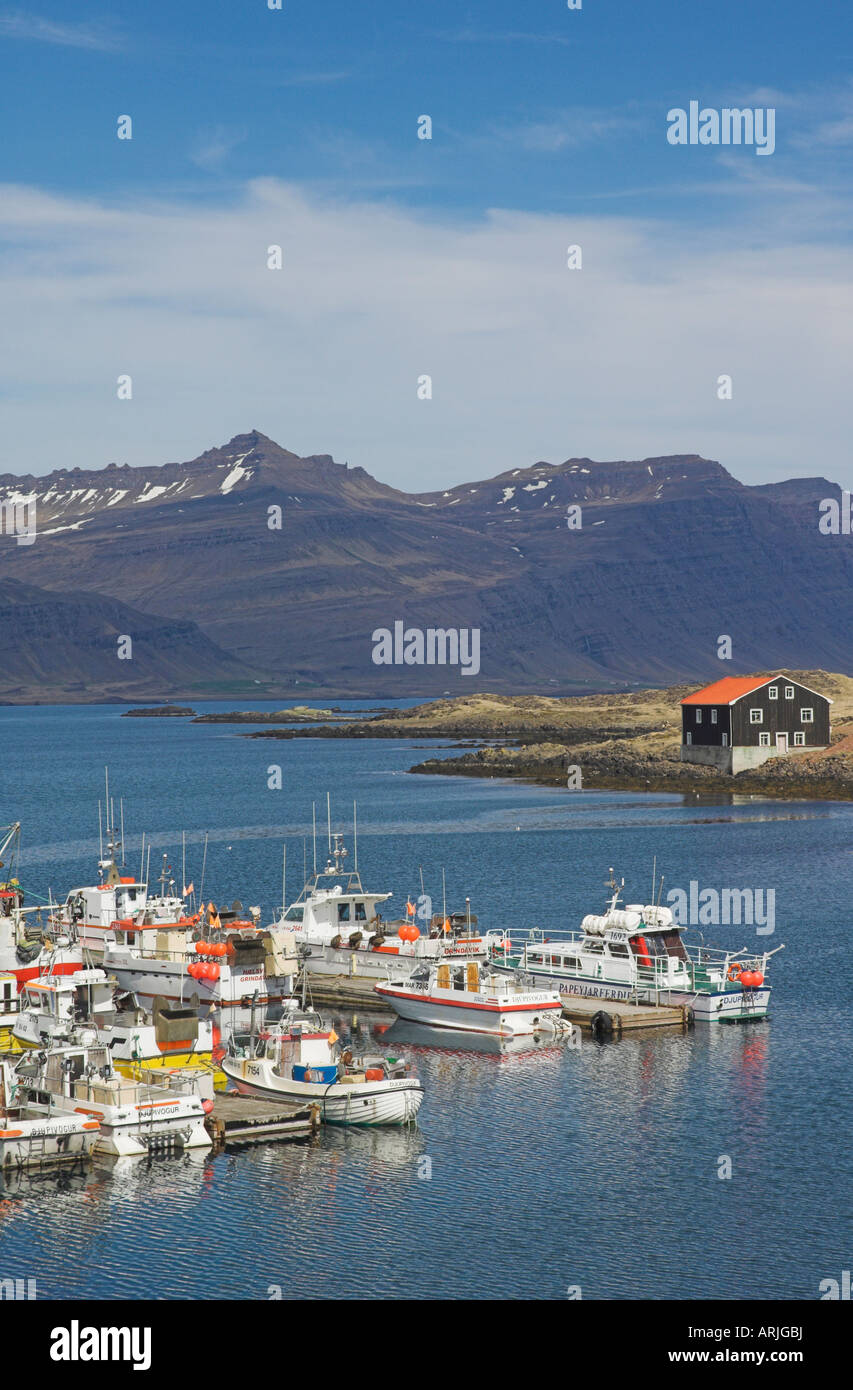 Fishing boats in Djupivogur harbour, East area, Iceland, Polar Regions