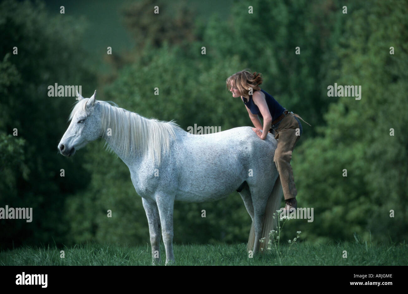 pure-bred Arab horse (Equus przewalskii f. caballus), girl jumping on horse  from behind Stock Photo - Alamy