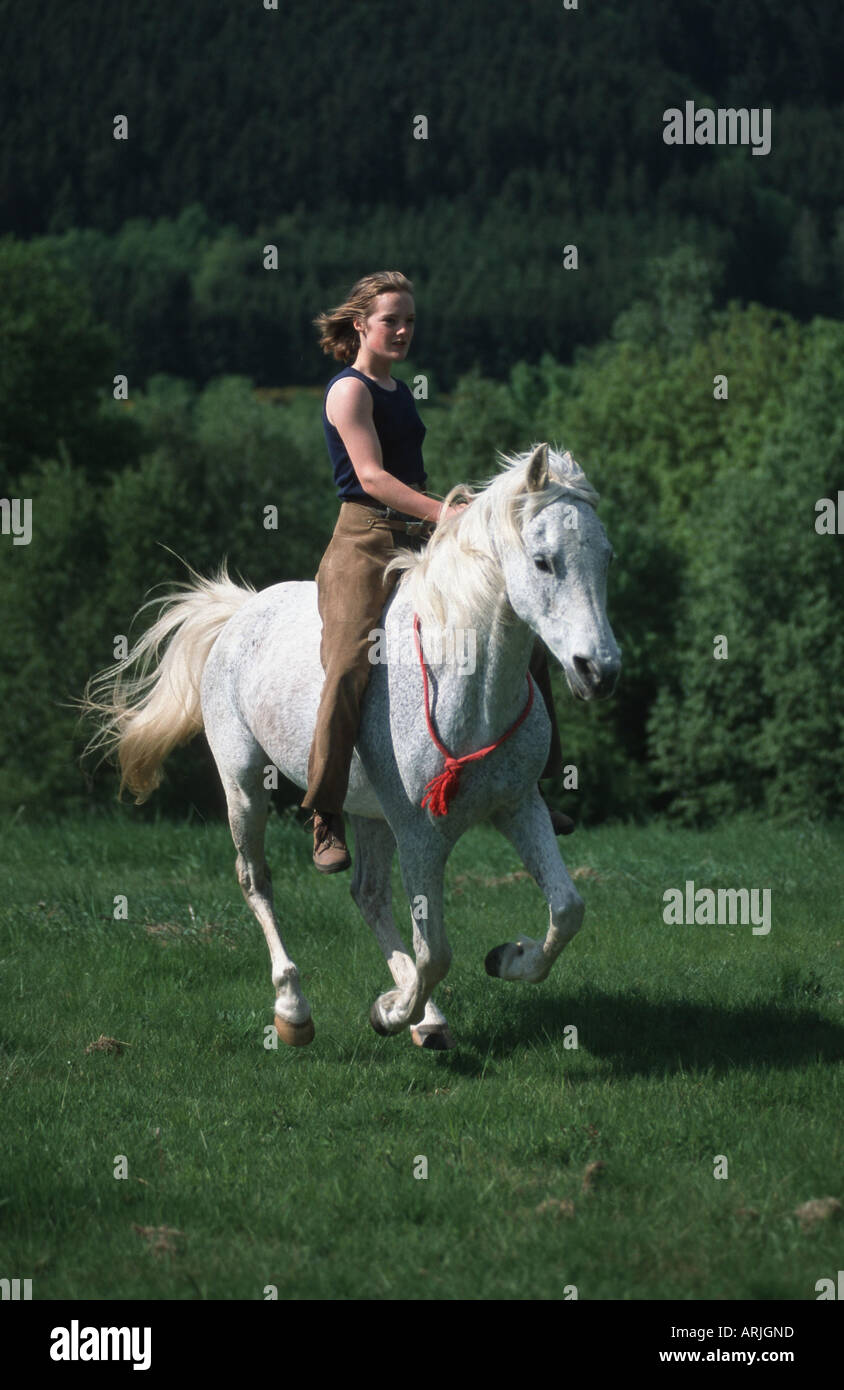 pure-bred Arab horse (Equus przewalskii f. caballus), riding girl without saddle Stock Photo