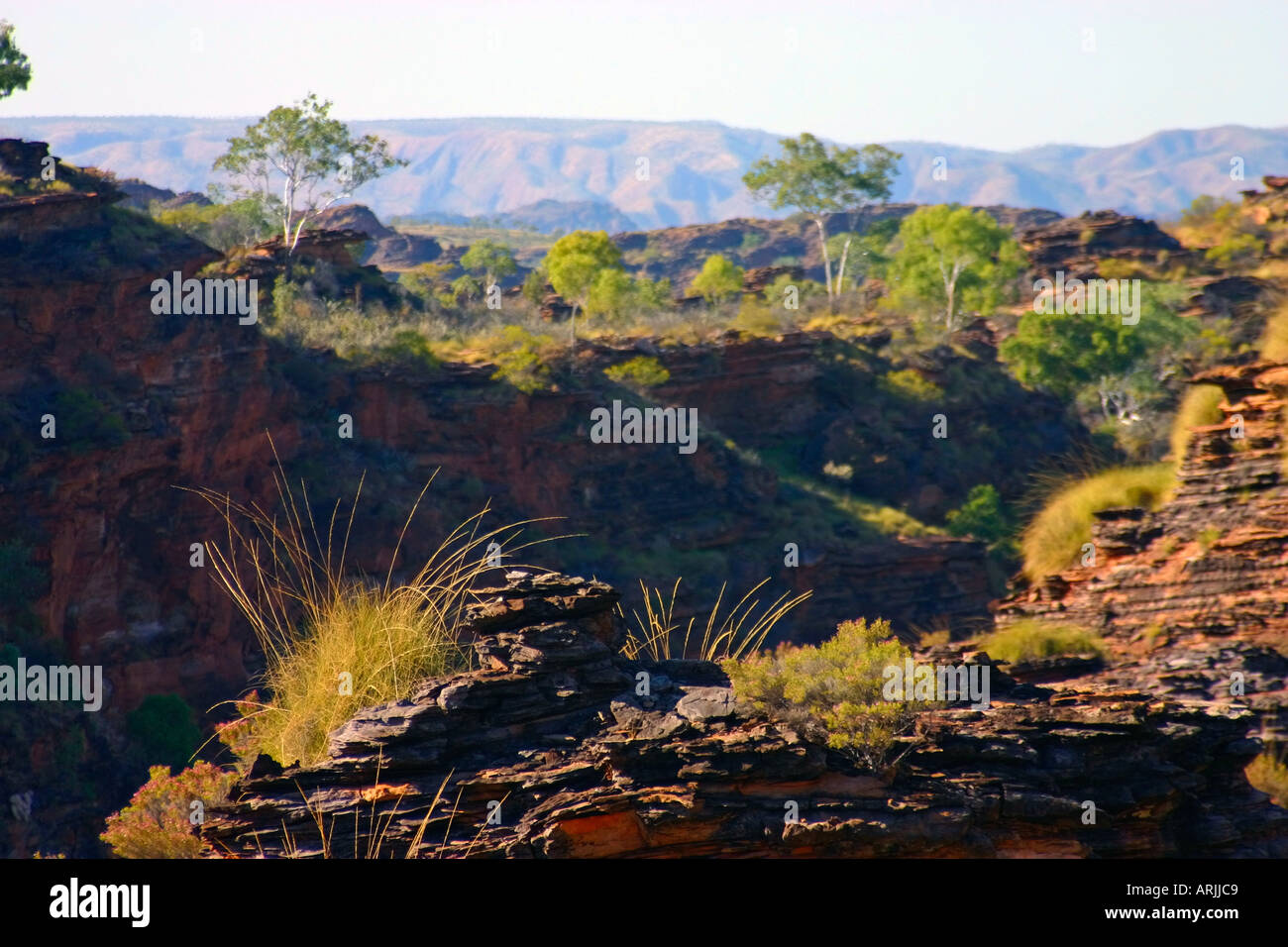 Rugged sedimentary formations and flowers of Hidden Valley in Mirima National Park near Kununurra Western Australia Stock Photo