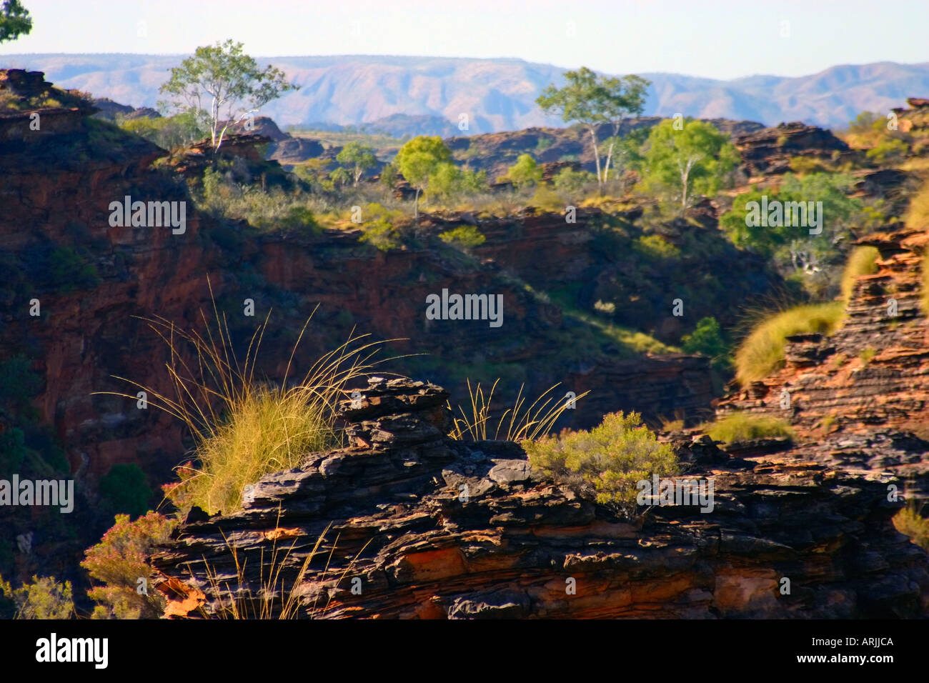 Rugged sedimentary formations and flowers of Hidden Valley in Mirima National Park near Kununurra Western Australia Stock Photo