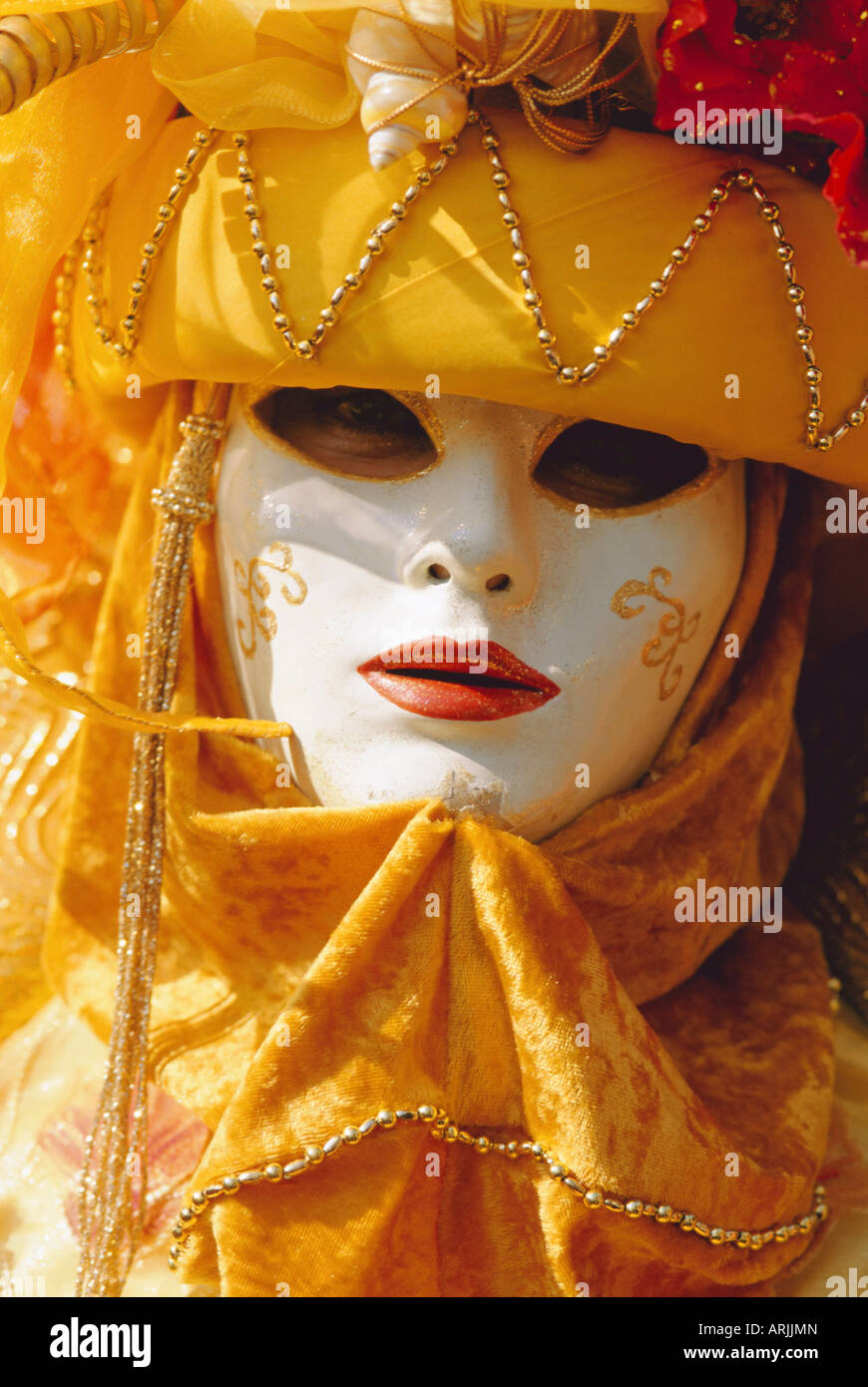 Person wearing masked carnival costume, Venice Carnival, Venice, Veneto, Italy Stock Photo