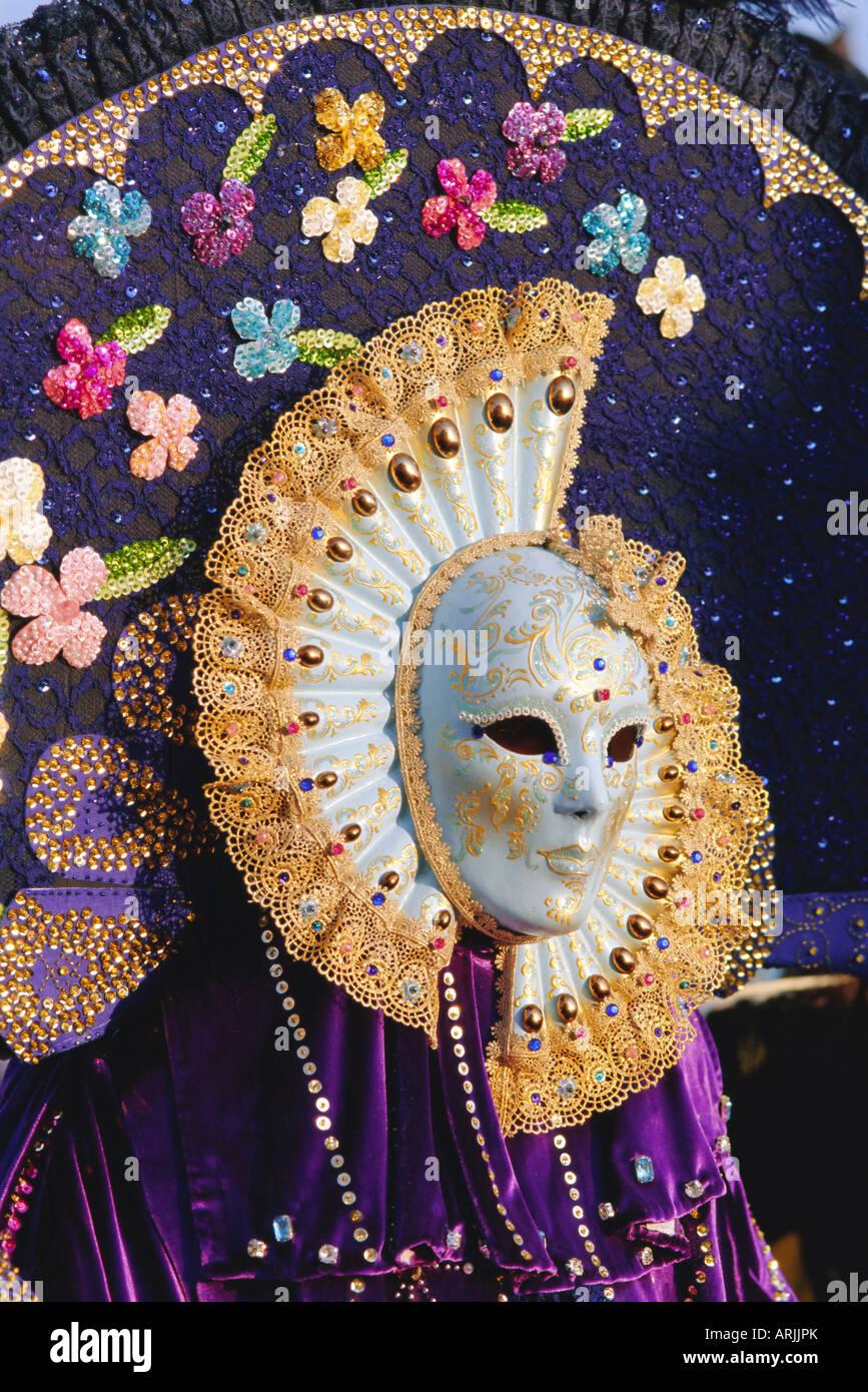 Person wearing masked carnival costume, Venice Carnival, Venice, Veneto, Italy Stock Photo