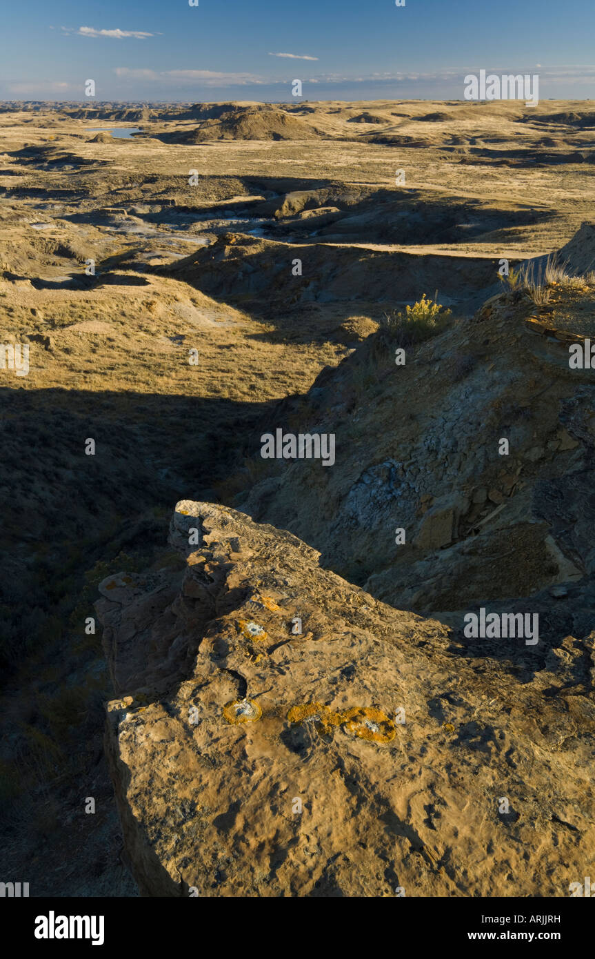 Badlands of the Hell Creek Formation near Jordan, MT Stock Photo Alamy