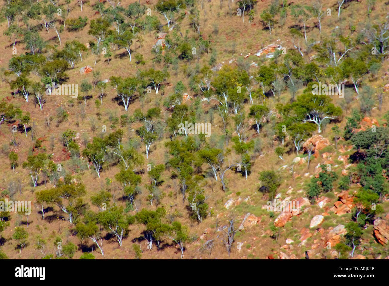Rocky outcrops with trees and spinifex on banks of Lake Argyle near Kununurra Western Australia Stock Photo