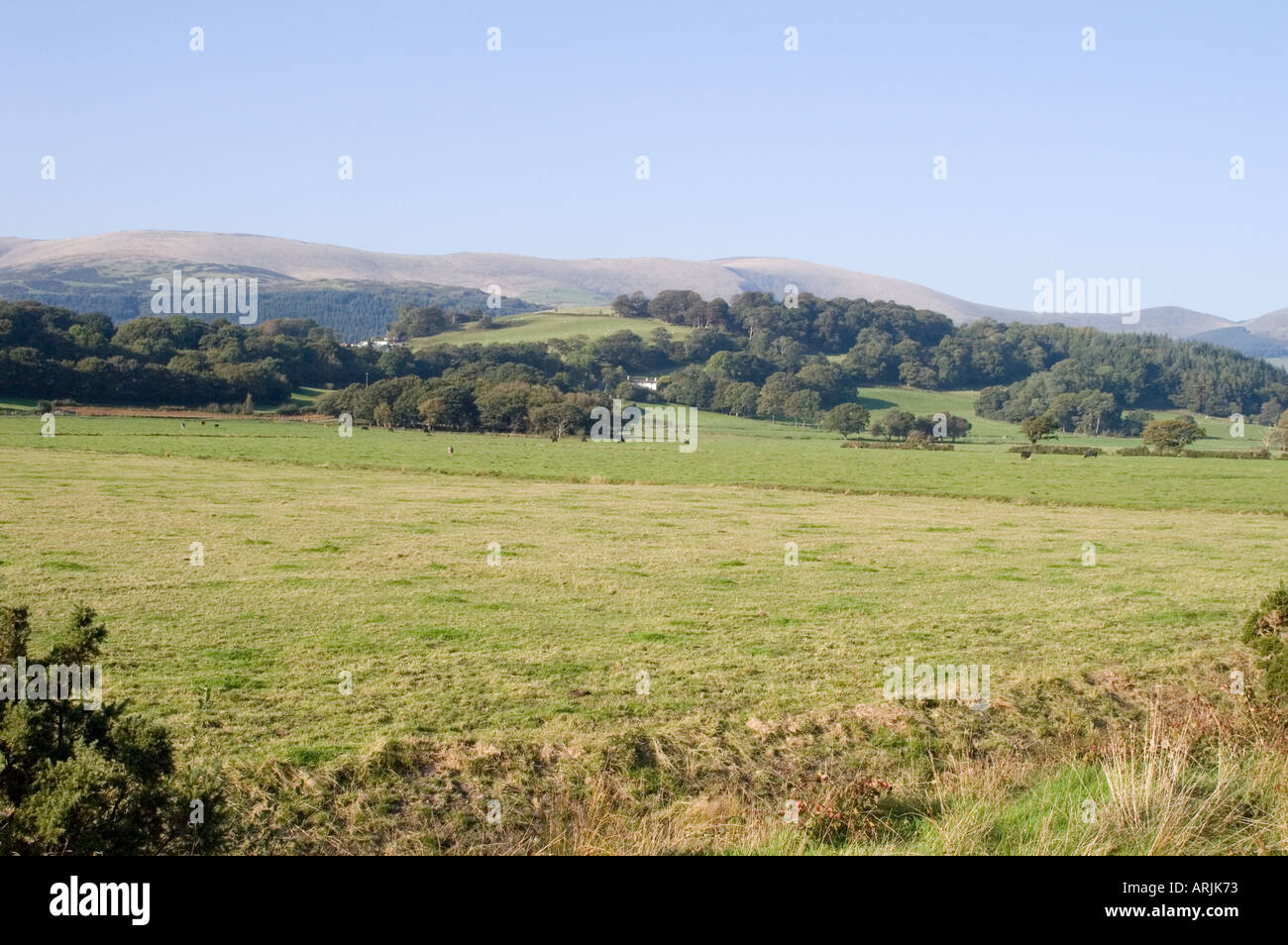 Mid Wales landscape near Machynlleth Stock Photo