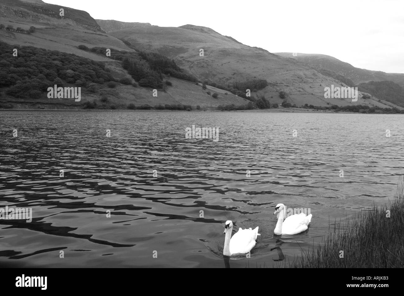 Tal-y-llyn Lake Snowdonia National Park, Mid-Wales - a black & White image Stock Photo