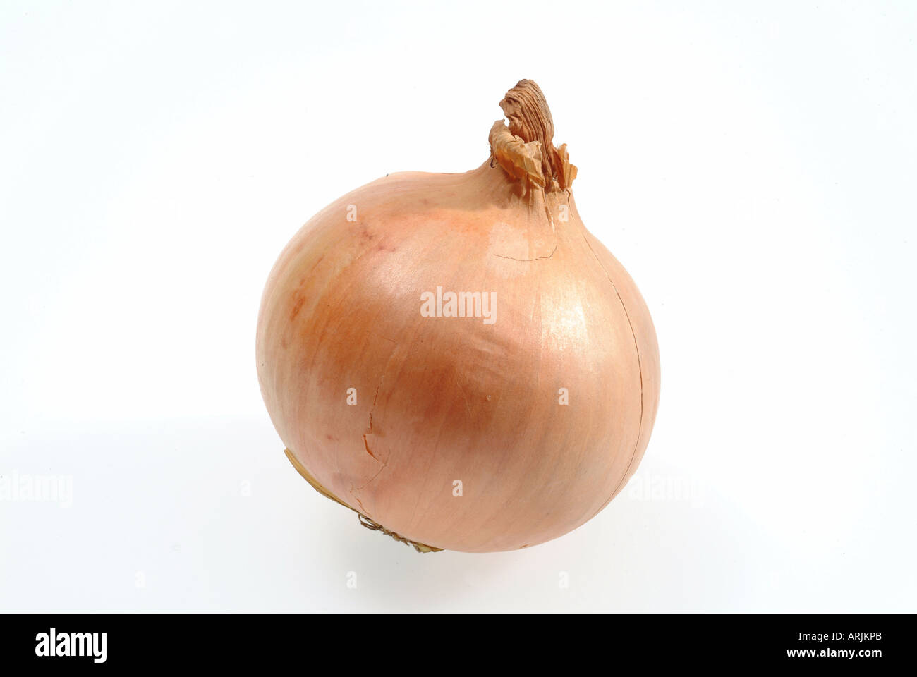 Still life with onion hi-res stock photography and images - Alamy