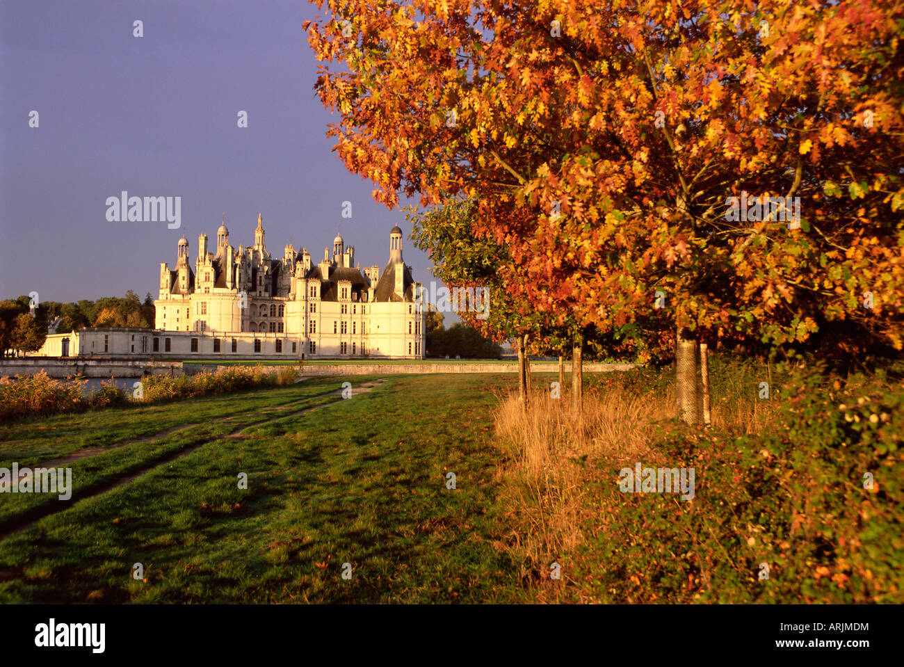 Chateau of Chambord, UNESCO World Heritage Site, Loir et Cher, Region de la Loire, Loire Valley, France, Europe Stock Photo