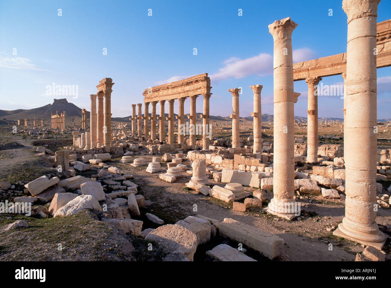 Great colonnade and the Arab castle beyond, Palmyra, UNESCO World Heritage Site, Syria, Middle East Stock Photo