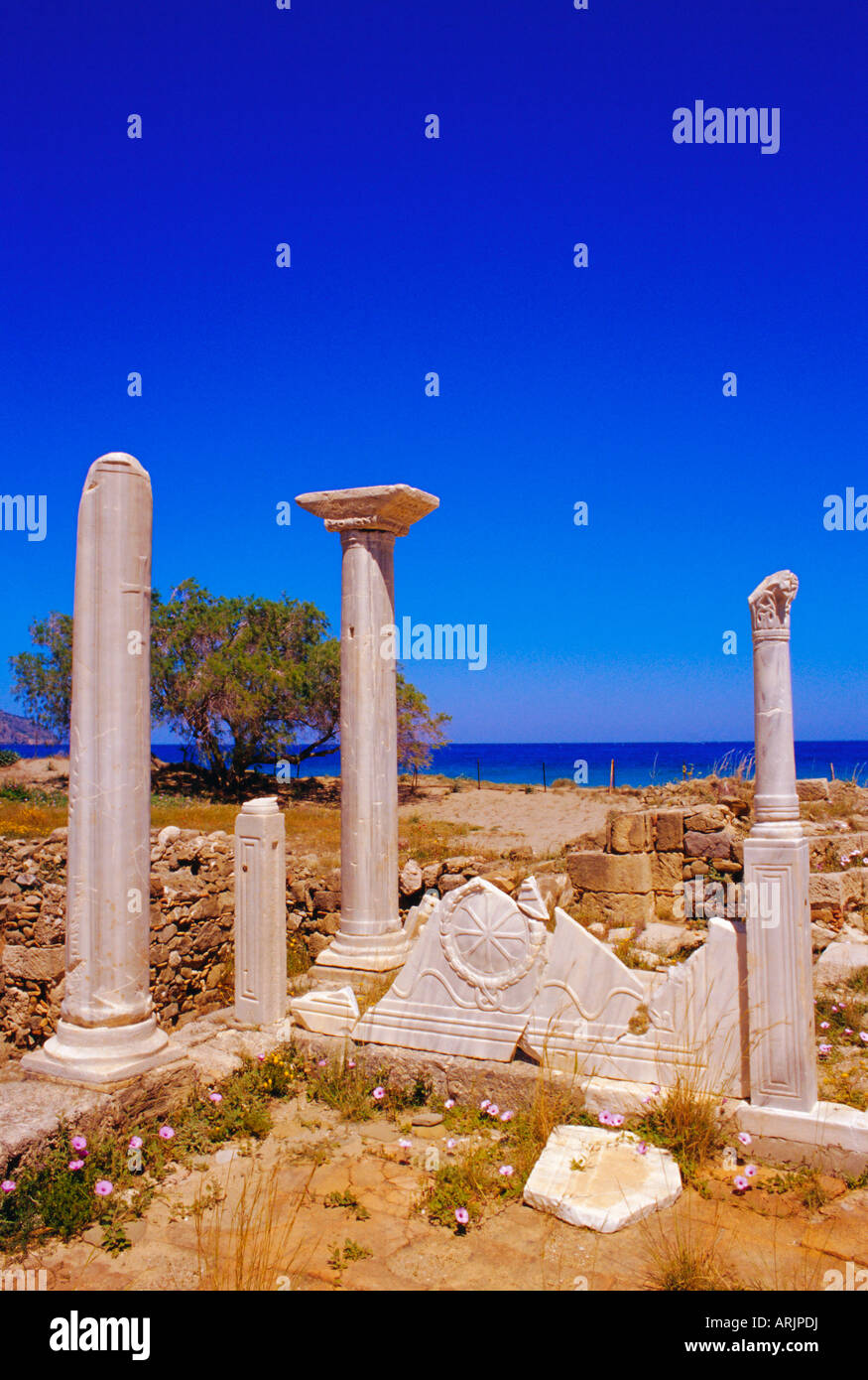 Remains of the early Christian basilica of Agio Fotini, Pigadia