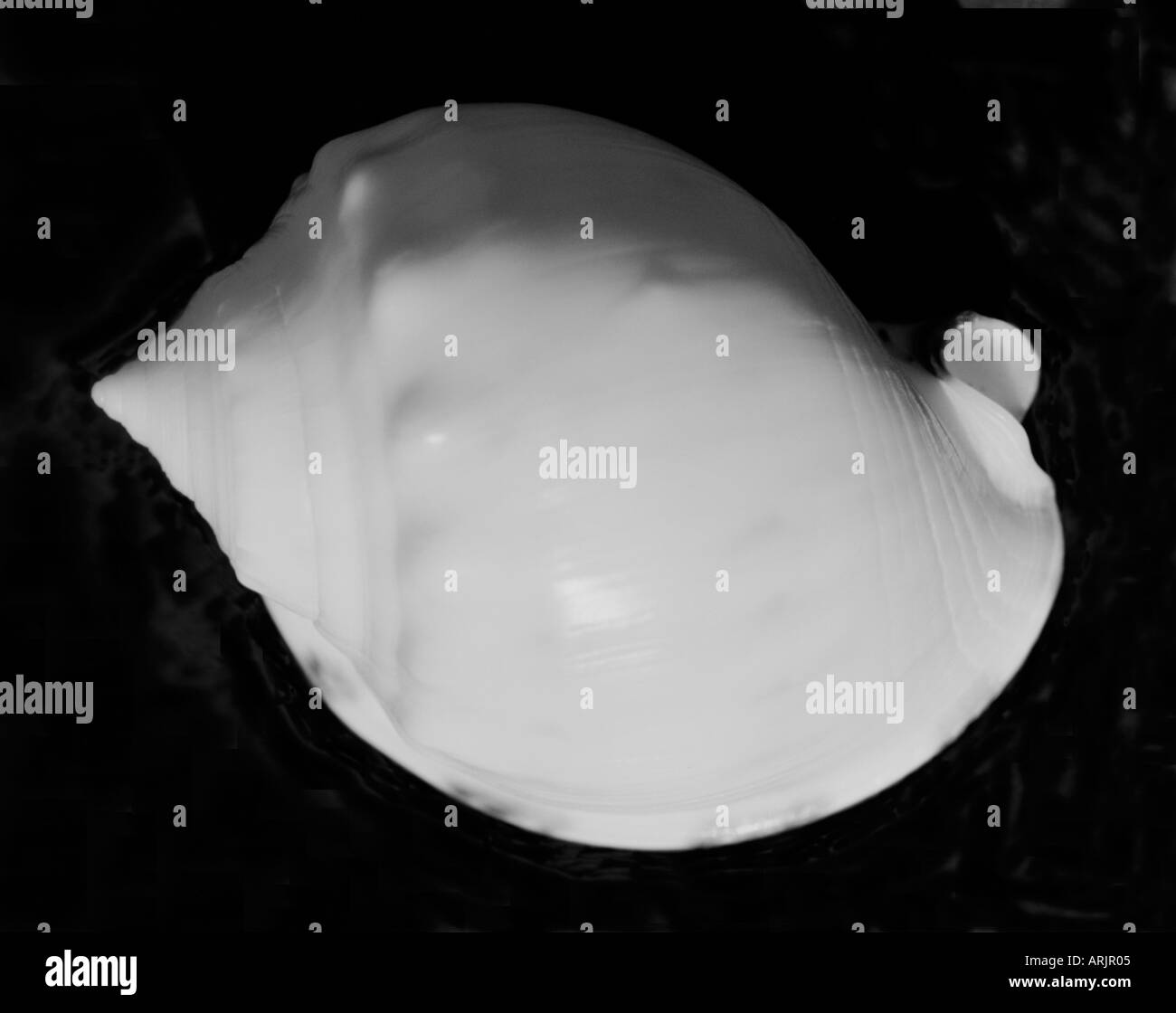 Highlighting their form Black and White Stock Photos & Images - Alamy