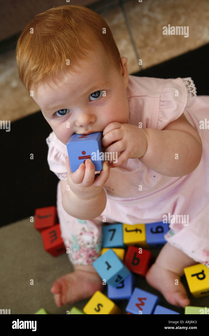Six month old baby playing with building blocks Stock Photo Alamy