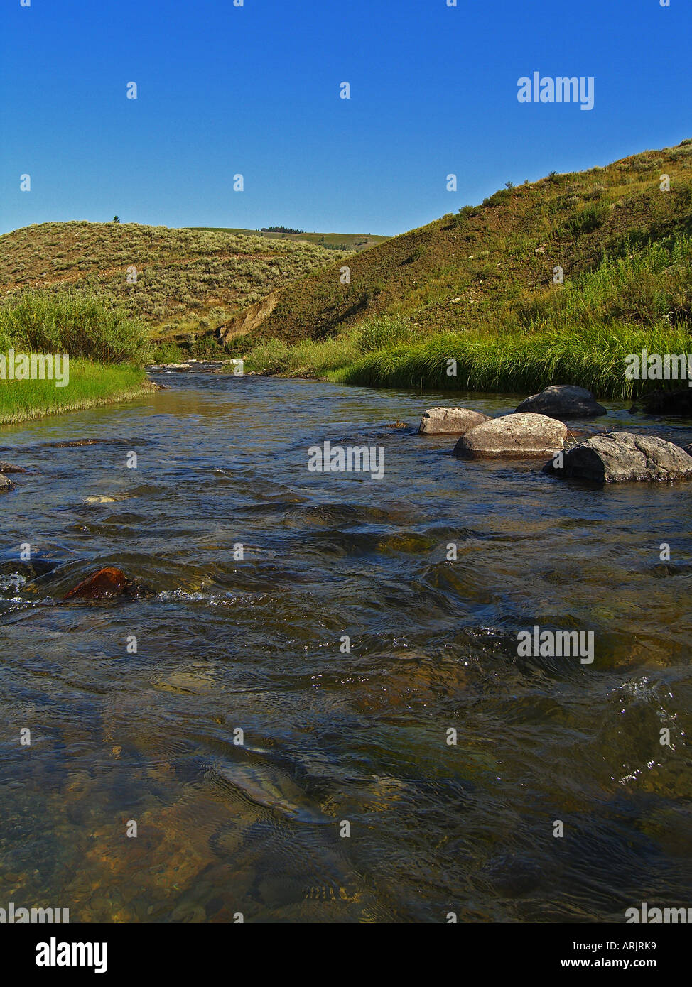 Montana taylor hires stock photography and images Alamy