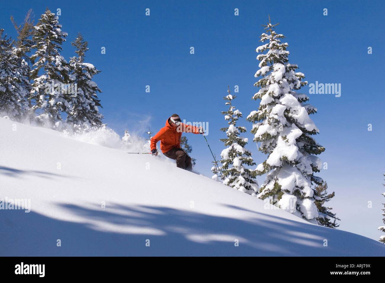 Side profile of a man skiing on snow, Lake Tahoe, California, USA Stock Photo