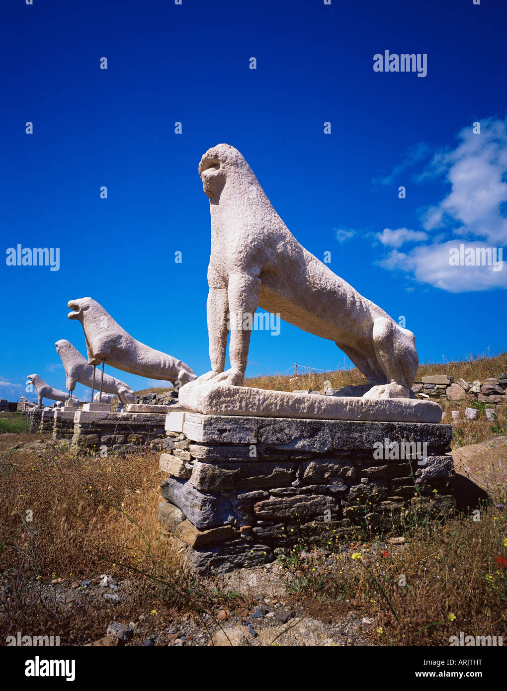 Naxian lions at the Lions Terrace, island of Delos, UNESCO World Heritage Site, Cyclades, Greek Islands, Greece, Europe Stock Photo