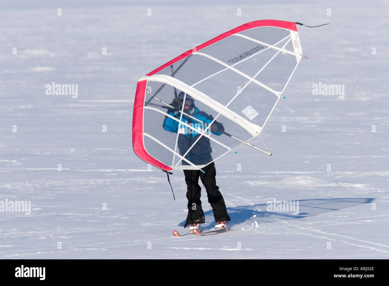 Man skiing on frozen sea ice at Wintertime using a kitewing , Finland Stock Photo