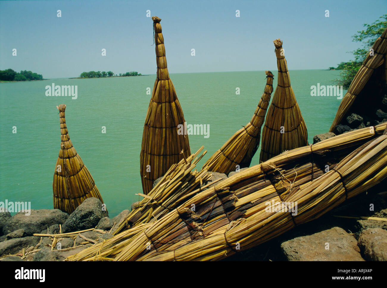 papyrus reed boats papyrus reed boats