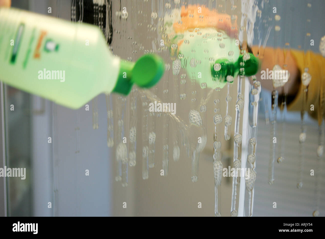 DEU, Germany : Housecleaning in a private house/apartment. Cleaning in the bathroom Stock Photo
