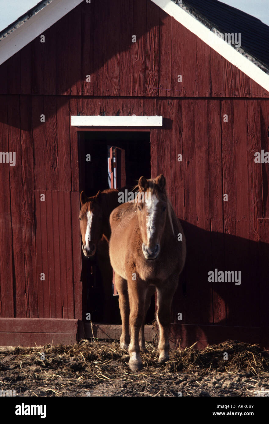 Riverhead new york usa hires stock photography and images Alamy