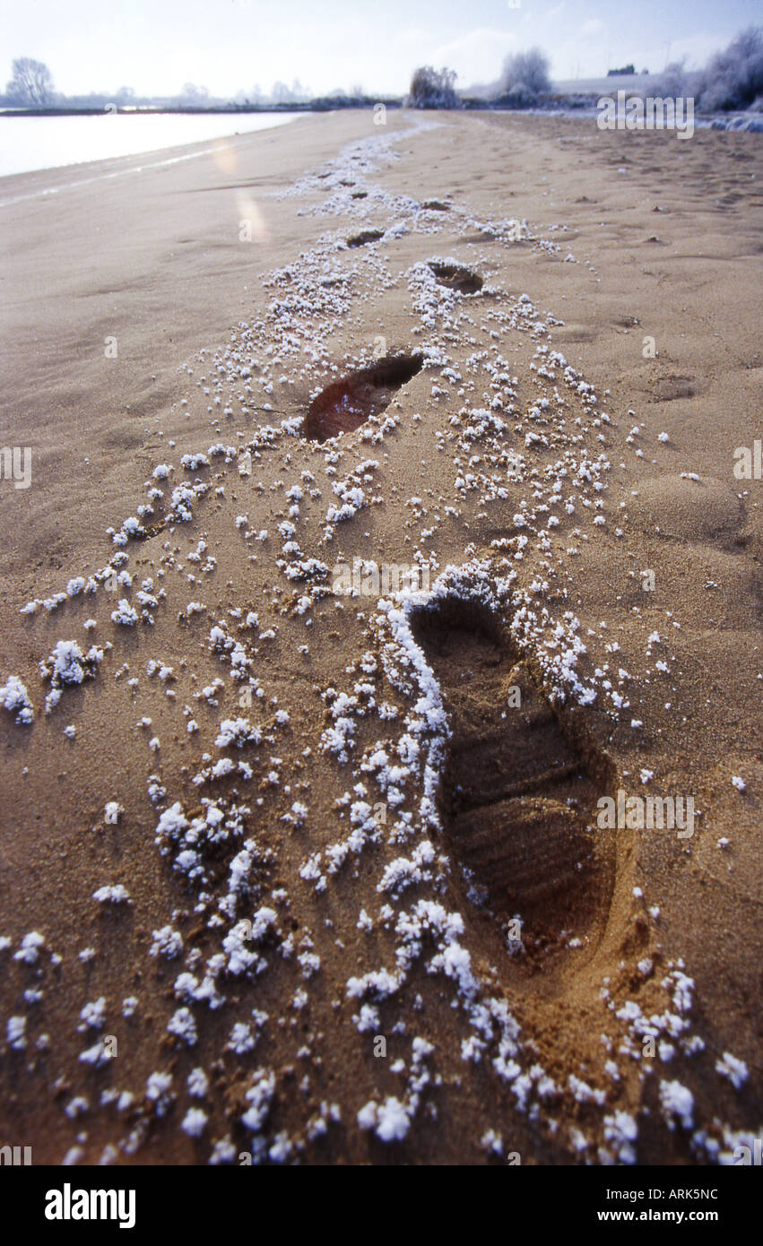 Symbolic photo: footsteps on a beach in winter Stock Photo - Alamy
