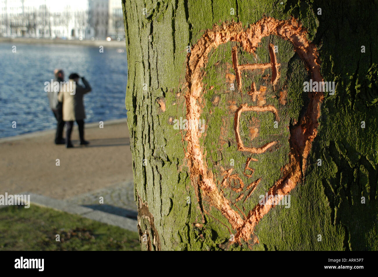 A heart with initials carved in a tree. Stock Photo