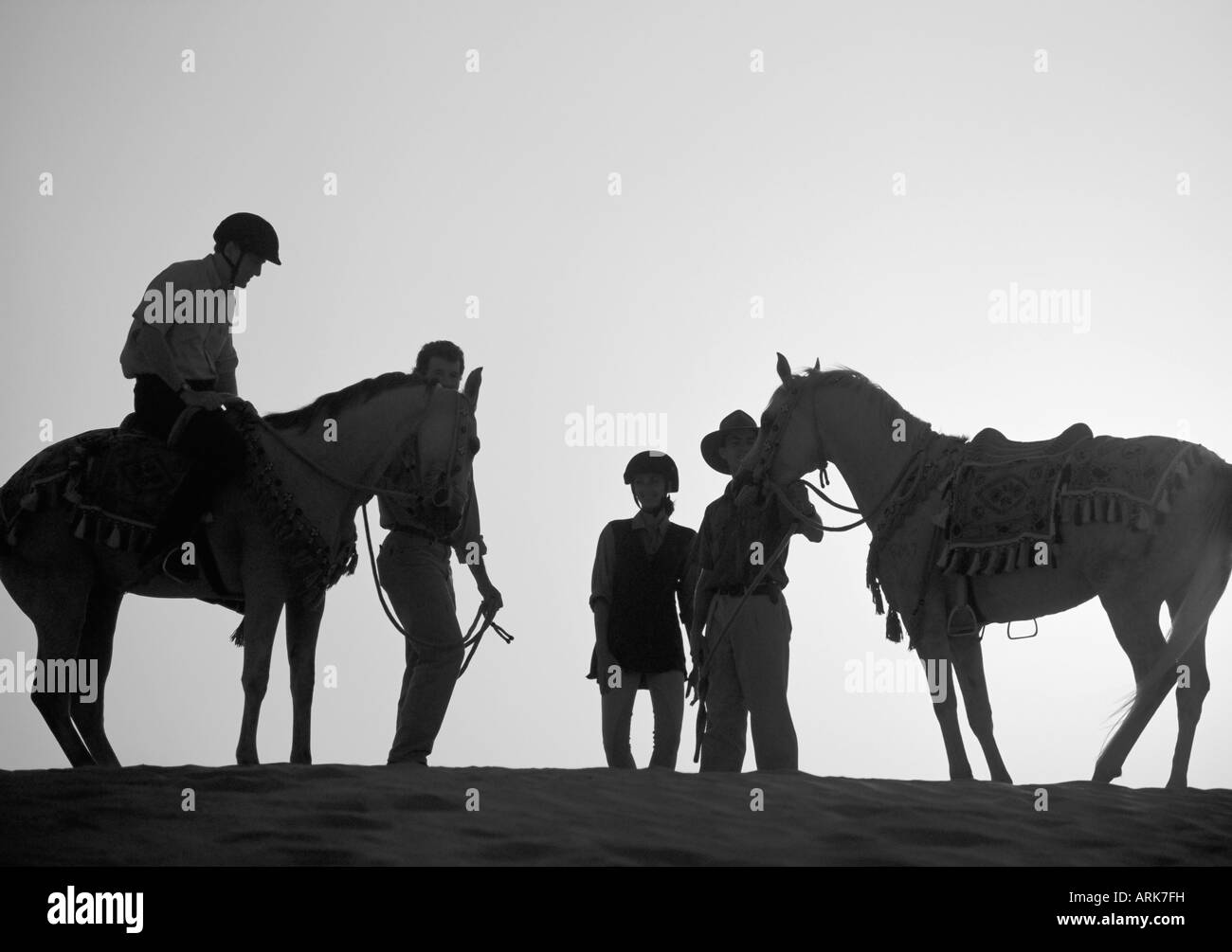 Saddles horse Black and White Stock Photos & Images Alamy