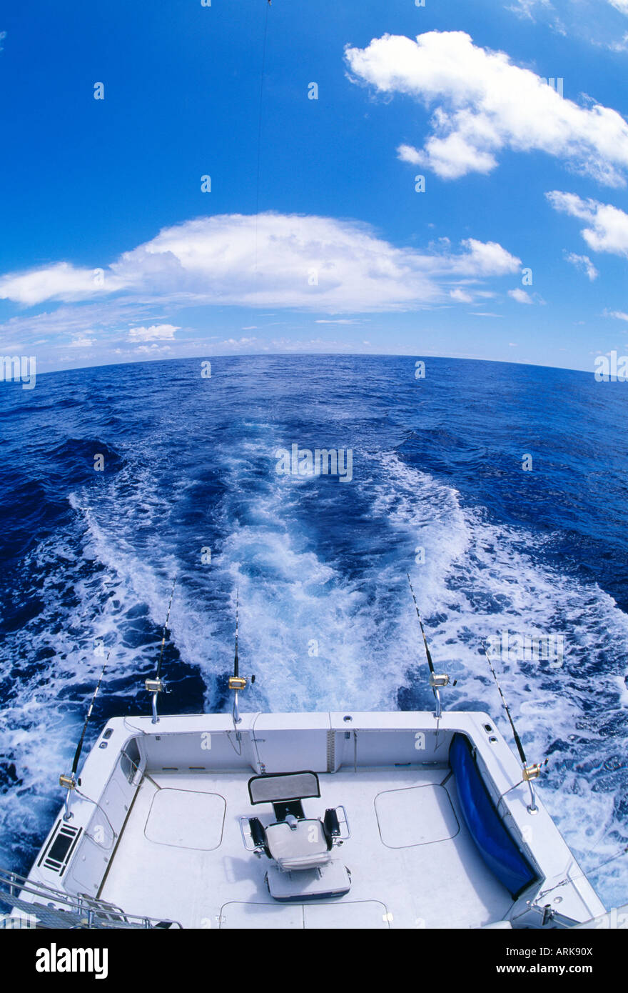 Blue marlin vessel hi-res stock photography and images - Alamy