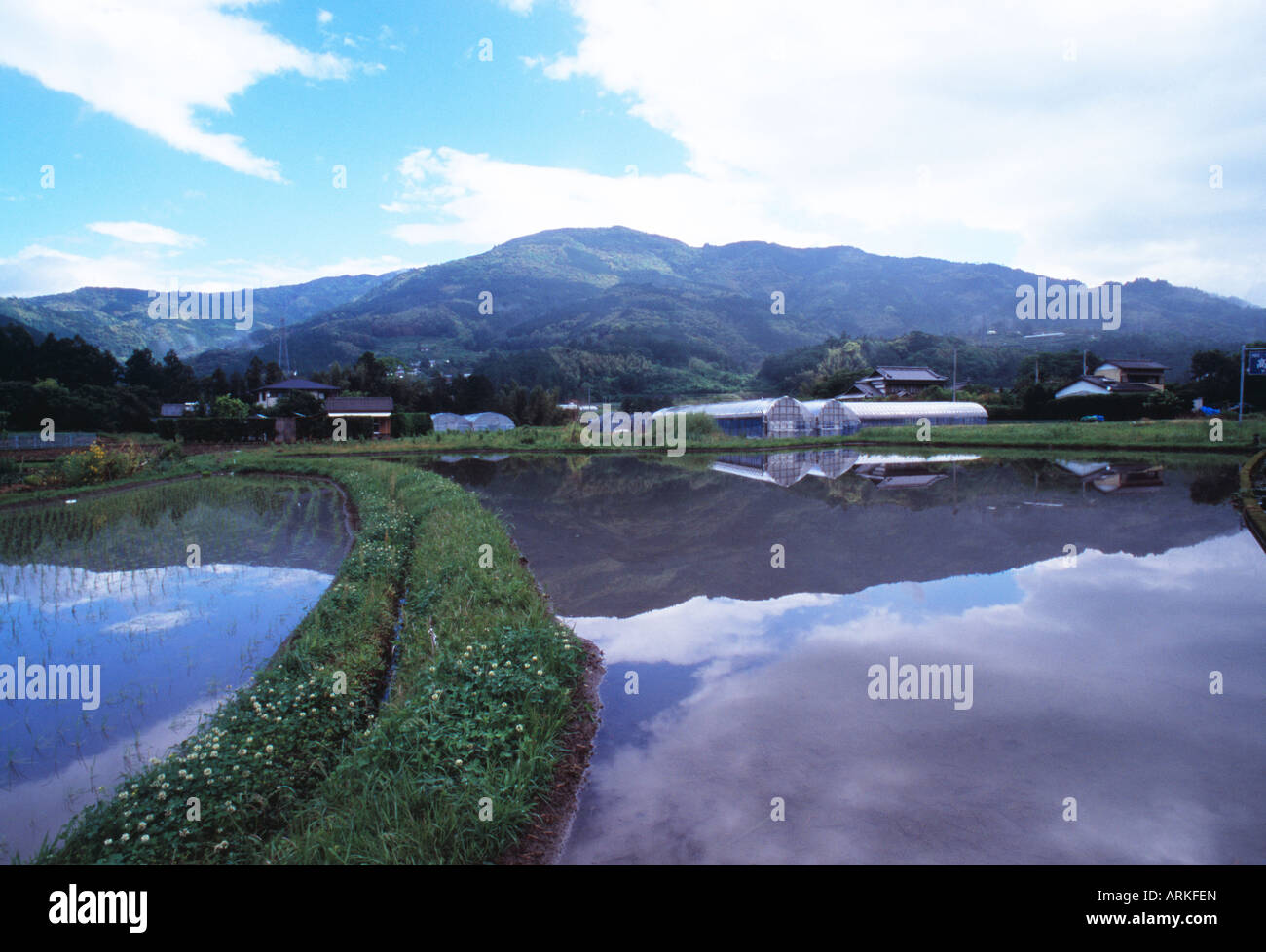 A path and rice field, Japan Stock Photo - Alamy
