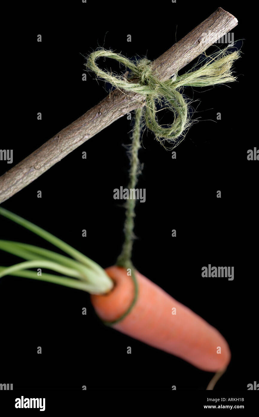 Carrot and stick business hires stock photography and images Alamy
