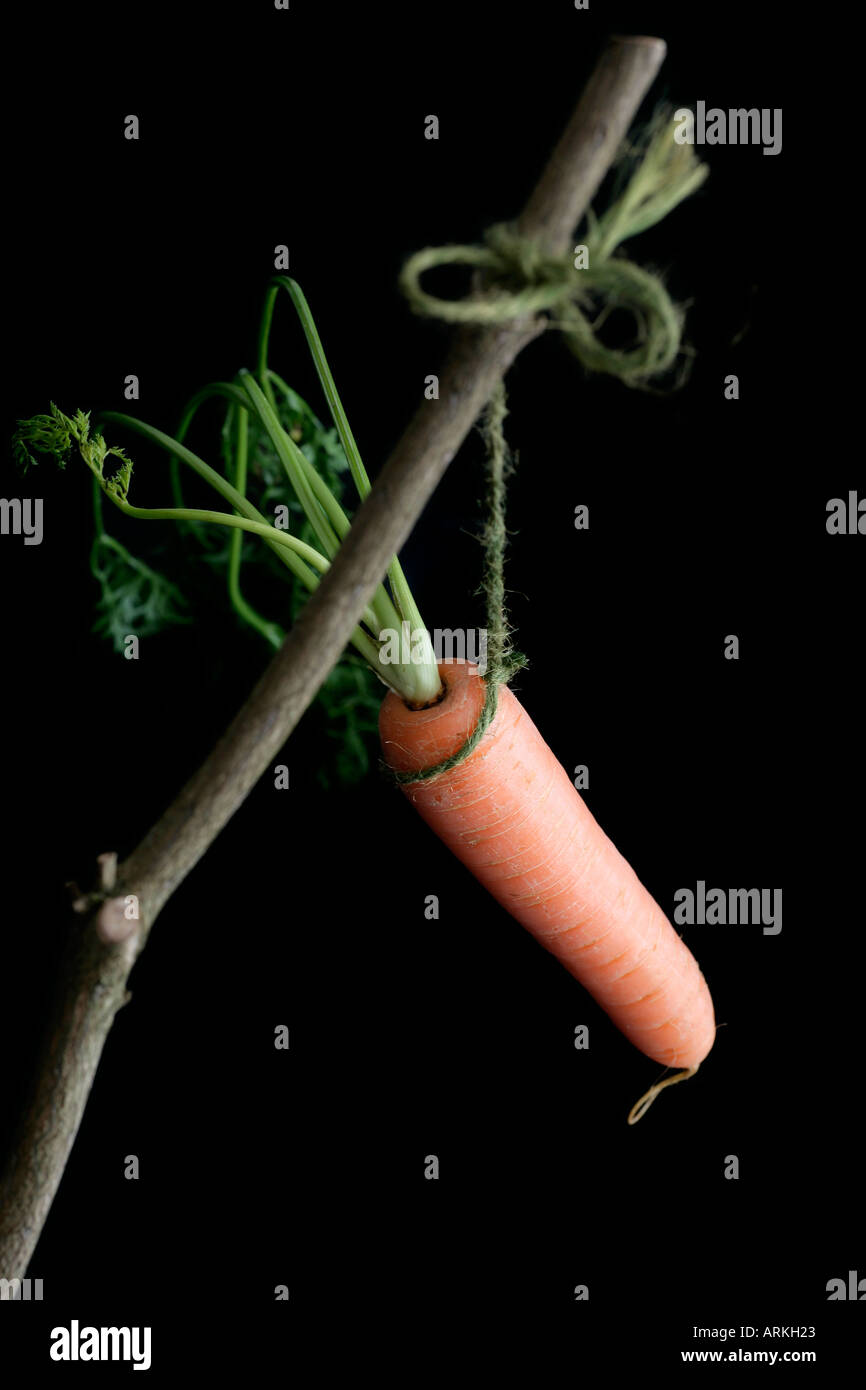 Carrot And Stick High Resolution Stock Photography and Images Alamy