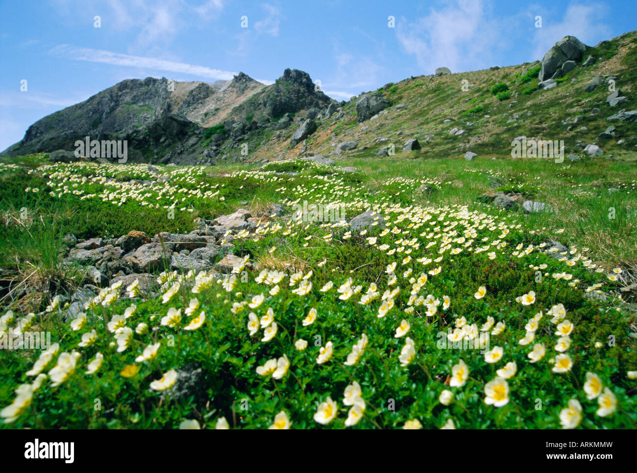 Hakusan park hires stock photography and images Alamy
