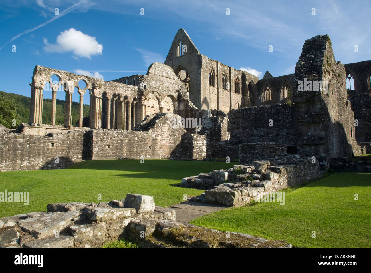 Tintern Abbey, South Wales Stock Photo - Alamy