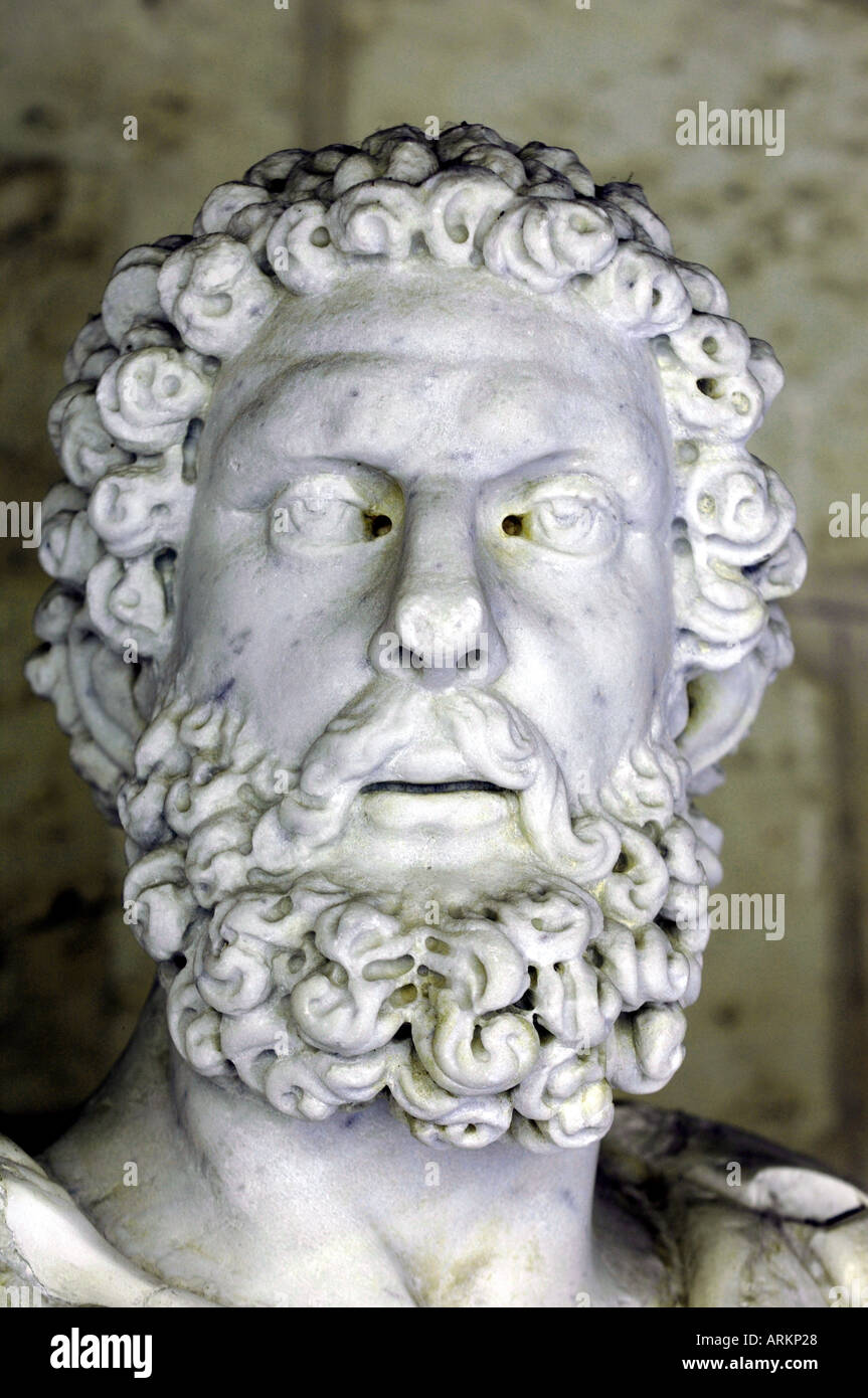Curly beards top