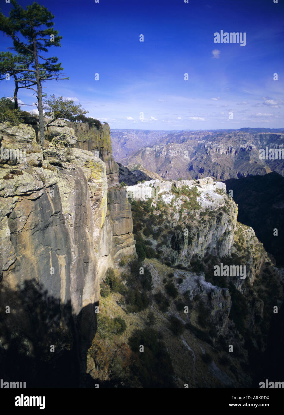 Copper Canyon, Sierra Tarahumara, Sierra Madre, Chihuahua, Mexico