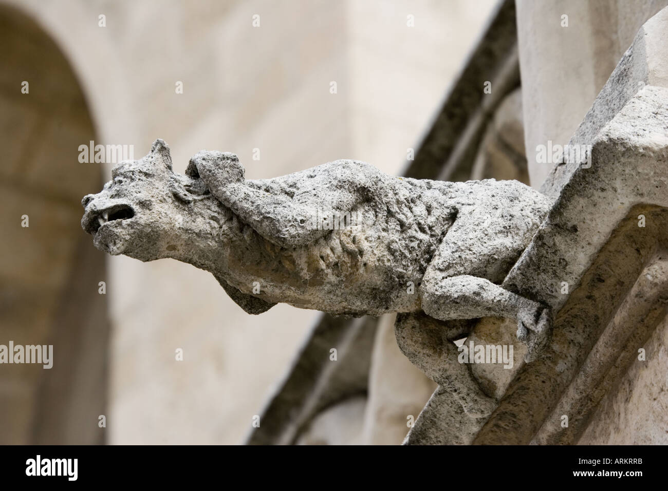 Grotesque Rain Ancient weathered stone gargoyle or grotesque eroded over the centuries ...