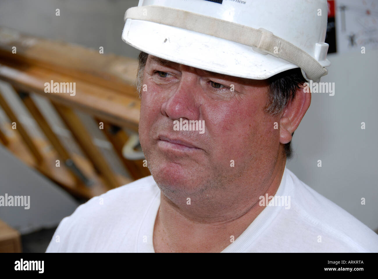 Male construction worker portrait Stock Photo - Alamy