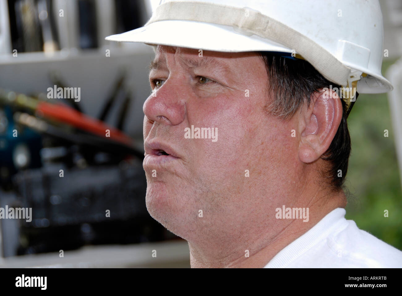 Male construction worker portrait Stock Photo - Alamy