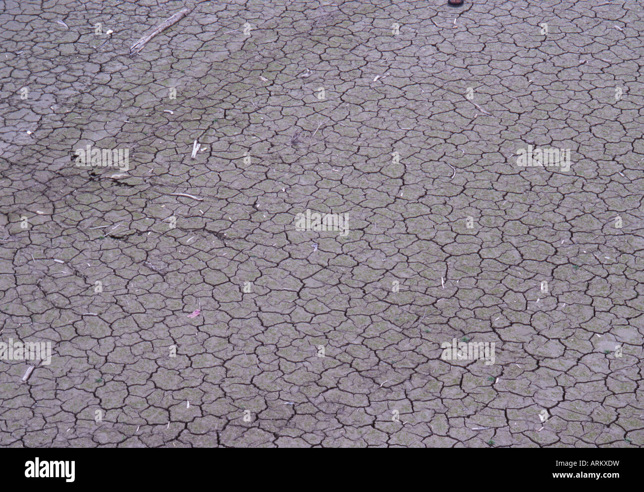 Drought Cracked Land, Global Warming Stock Photo - Alamy