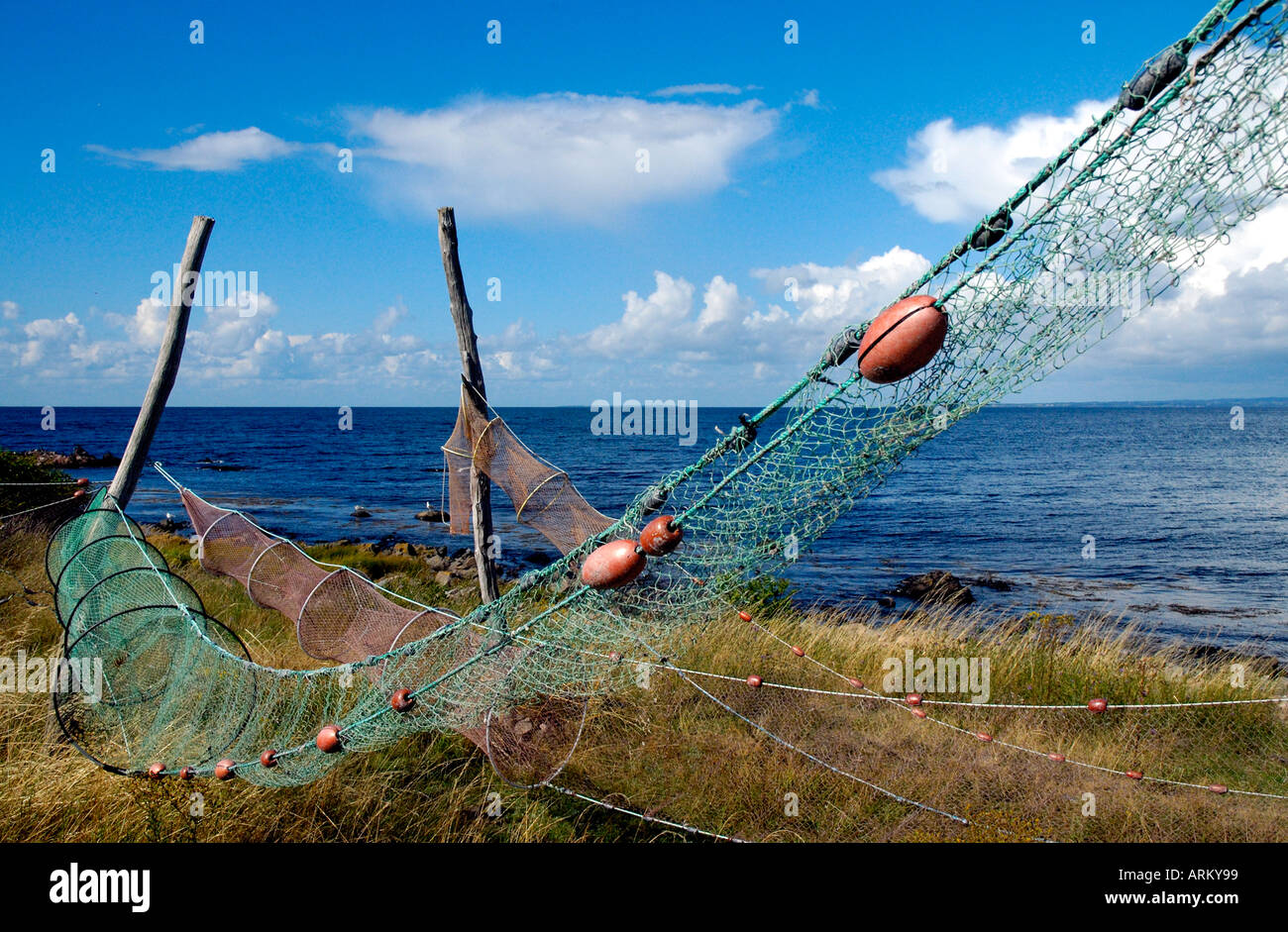 Hoop net trap hi-res stock photography and images - Page 2 - Alamy