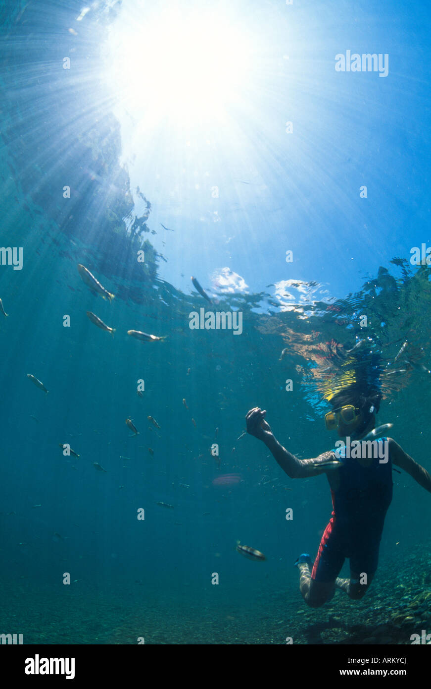 Boy snorkeling in the river, Kochi, Japan Stock Photo Alamy