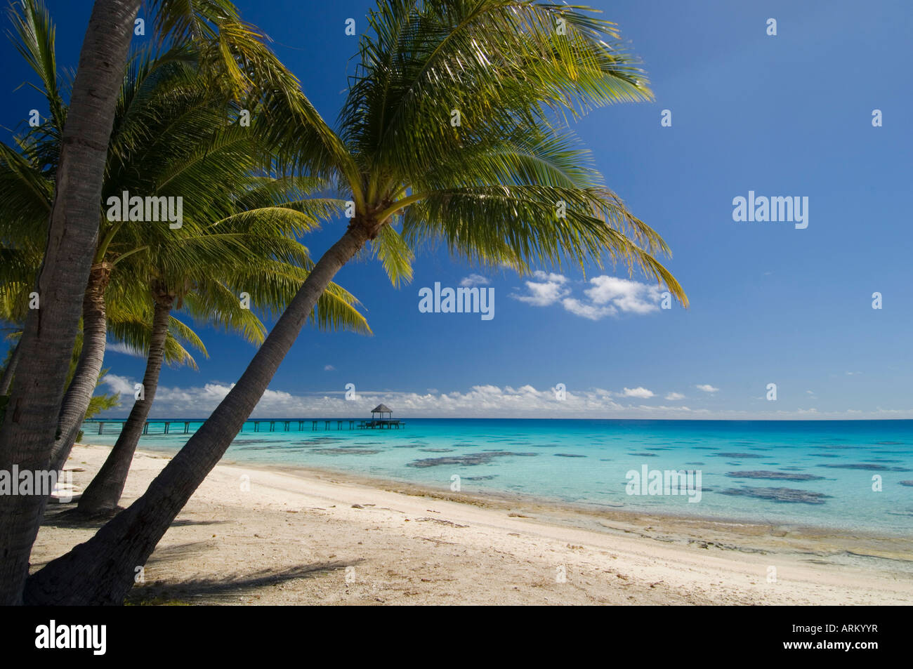 Fakarawa, Tuamotu Archipelago, French Polynesia, Pacific Islands, Pacific Stock Photo