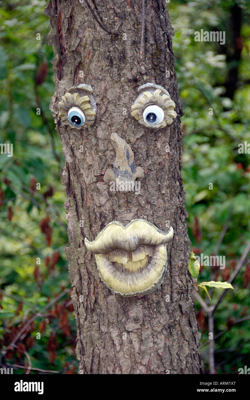 Common Maple Tree With Special Decorations Of A Face To Bring